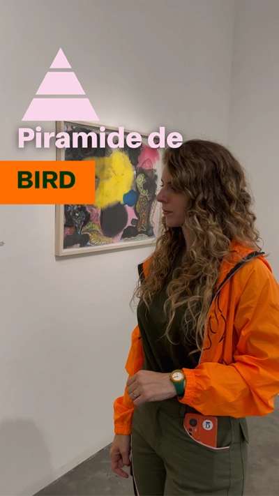 piramide de bird