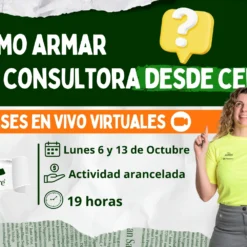 como armar una consultora