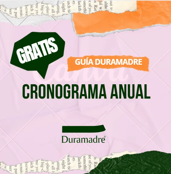 Cronograma anual de trabajo