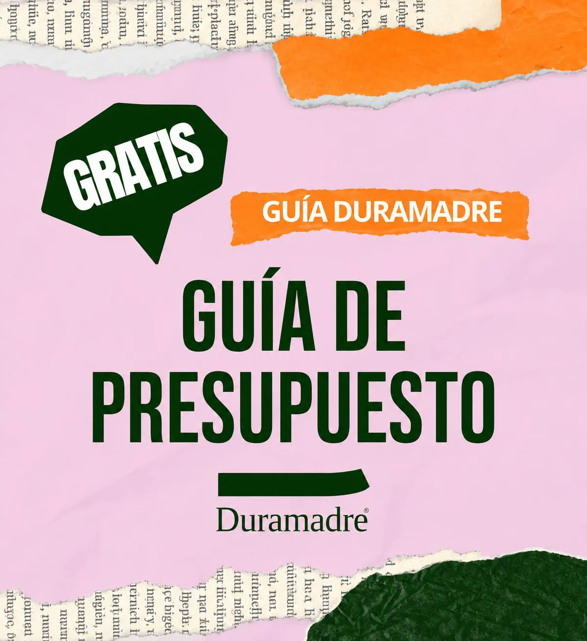 Guia gratuita de presupuesto